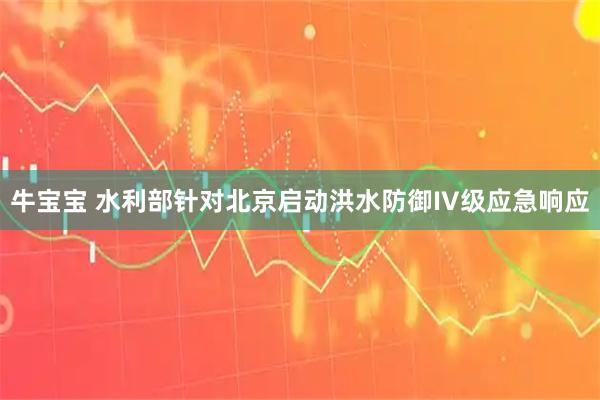 牛宝宝 水利部针对北京启动洪水防御IV级应急响应